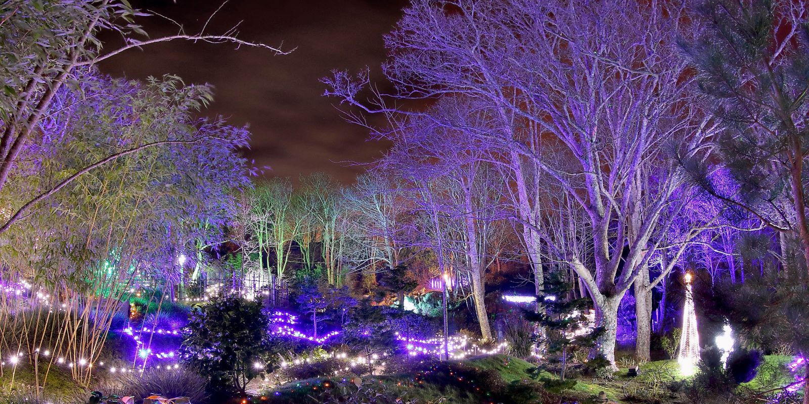 MPR ENCHANTED GARDEN TRAMORE MAIN 1600x1060