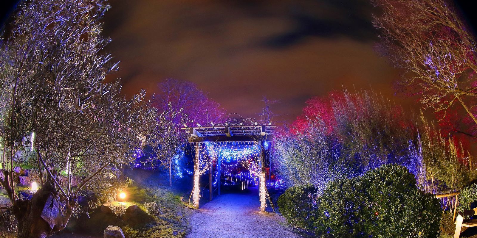 MPR_ENCHANTED GARDEN TRAMORE Main B 1000x1067