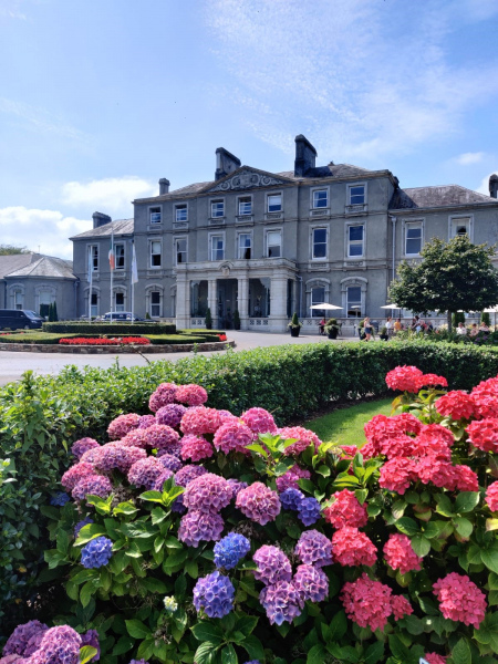 mount congreve and faithlegg facebook 800 x420