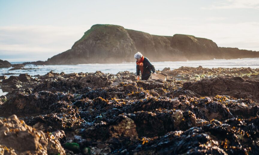 Annestown beach Co Waterford master 1 Faithlegg
