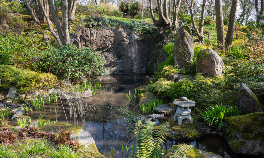 Lafcadio Hearn Japanese Gardens Pond Tramore Co Waterford master Faithlegg