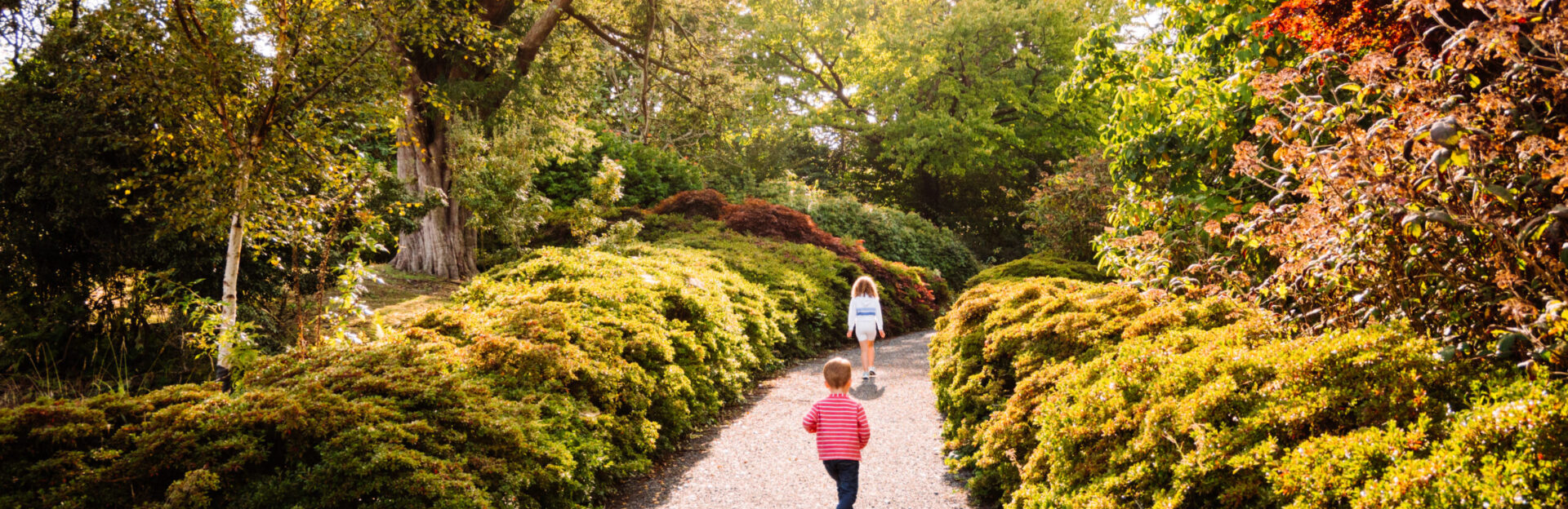 Mount Congreve Gardens Co Waterford master 4 Faithlegg