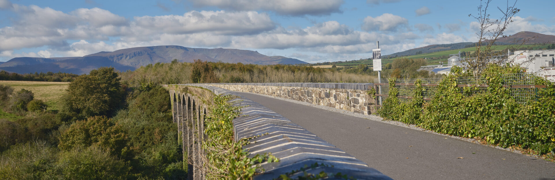 Waterford Greenway Co Waterford master 4 Faithlegg