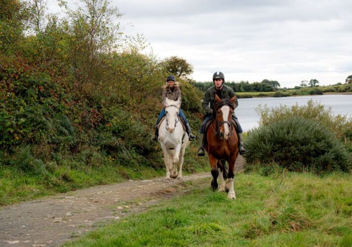 horse riding banner Faithlegg