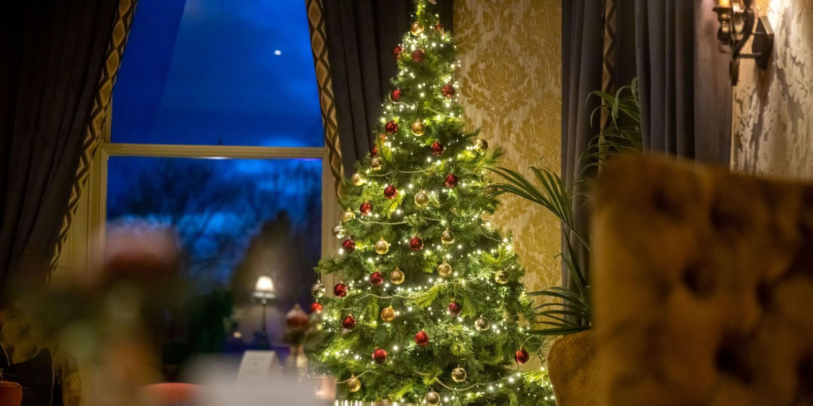 lounge christmas tree 1 mb resized Faithlegg