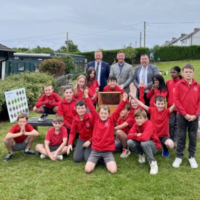 Bee workshops in local schools Faithlegg