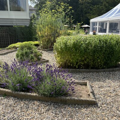 Herb Garden Faithlegg